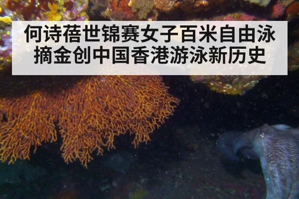 何诗蓓世锦赛女子百米自由泳摘金创中国香港游泳新历史